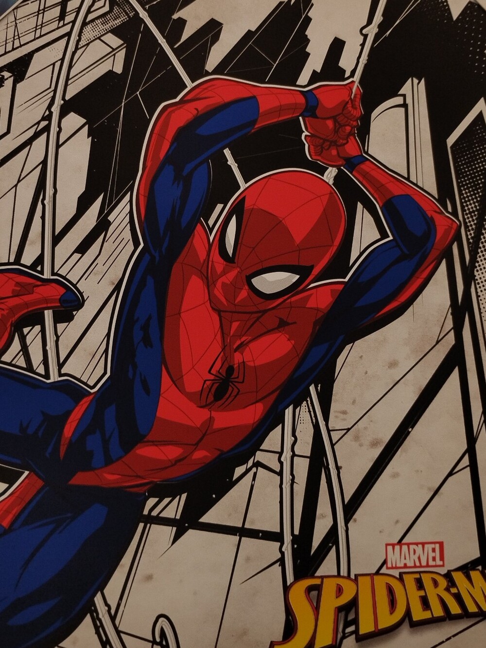 Marvel Spider-Man Graphic Canvas